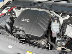 ɥȥ ١졼ɡʡر֡쥶ʥ 0502452A30251130W001 3