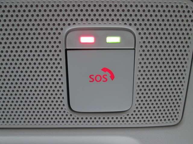 ルークス 660 ハイウェイスターGターボ プロパイロット エディション 純正9inナビ アラウンドビューM ETC2.0(14枚目)