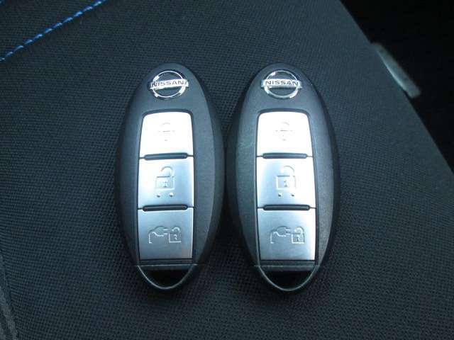 リーフ ｅ＋　Ｘ　アラウンドビューＭ　ＥＴＣ２．０　ＬＥＤライト（18枚目）