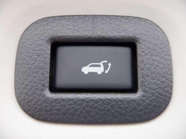 エクストレイル ２．０　ＡＵＴＥＣＨ　ｉパッケージ　ハイブリッド　ワンオーナー　電動サンルーフ　電動リヤゲ　アラモニ　ＬＥＤヘッド　エマブレ　黒革シート　追従クルコン　メモリーナビ　ＥＴＣ　ワンオーナー　ドラレコ　インテリジェントキー（19枚目）