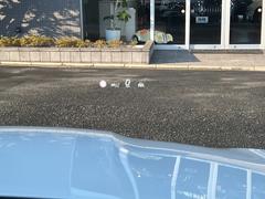 ǣ̣ ǣ̣ã䡡ͥڥɥ饤ХСܣͣǥ饤Сͣǥ쥶ţأСѥΥߥå롼ա奷ȥҡ 0502561A30251112W001 6