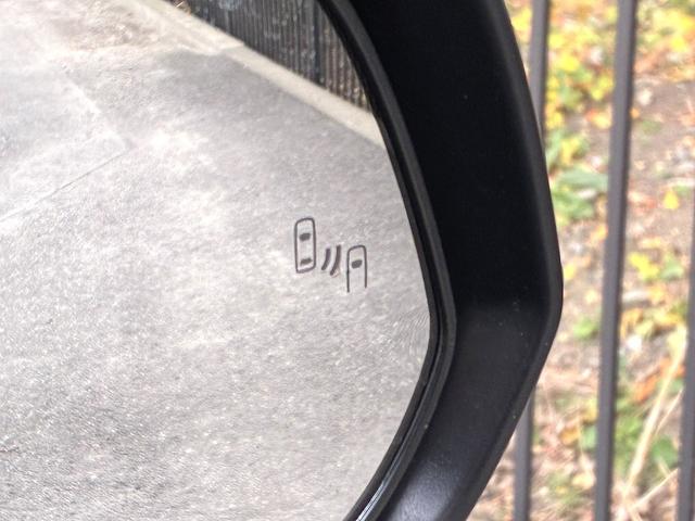 アルファードＰＨＥＶ エグゼクティブラウンジ　雹害　ＪＢＬプレミアムサウンドシステム１５スピーカー　１４インチリアシートエンターテイメントシステム　ムーンルーフ　レザーシート　パノラミックビュー　両側パワースライド＆パワーバックドア　寒冷地仕様（7枚目）