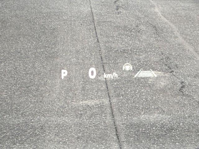 アルファードＰＨＥＶ エグゼクティブラウンジ　雹害　ＪＢＬプレミアムサウンドシステム１５スピーカー　１４インチリアシートエンターテイメントシステム　ムーンルーフ　レザーシート　パノラミックビュー　両側パワースライド＆パワーバックドア　寒冷地仕様（22枚目）