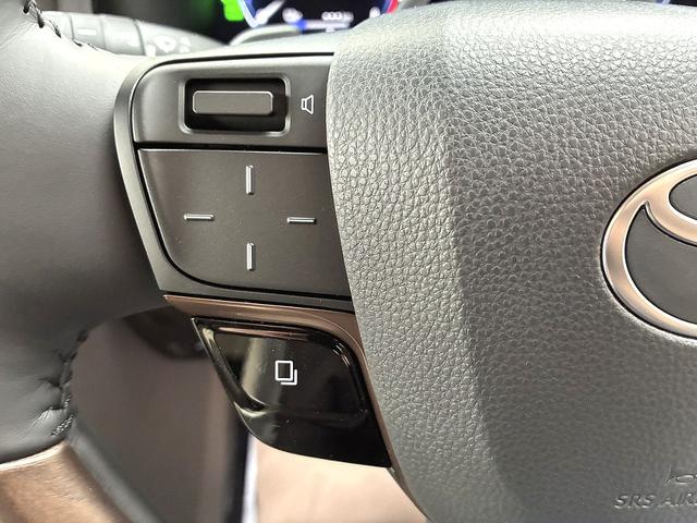 アルファードＰＨＥＶ エグゼクティブラウンジ　雹害　ＪＢＬプレミアムサウンドシステム１５スピーカー　１４インチリアシートエンターテイメントシステム　ムーンルーフ　レザーシート　パノラミックビュー　両側パワースライド＆パワーバックドア　寒冷地仕様（28枚目）