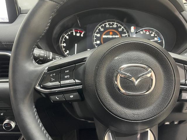 ＣＸ－８ ＸＤプロアクティブ　４ＷＤ　衝突軽減ブレーキ　レーンアシスト　　純正ナビ　フルセグテレビ　ＬＥＤライト　パワーバックドア　レーダークルーズコントロール　全方位モニター　ヘッドアップディスプレー　ドラレコ（23枚目）