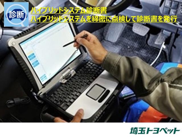 WS ワンオーナー バックカメラ 当社社用車(26枚目)