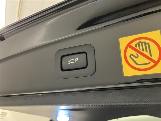 エスティマ アエラス　プレミアムエディション　１オーナー車　ＤＶＤ視聴可能　点検記録簿　イモビ　キーレス　ＡＡＣ　ミュージックプレイヤー接続可　ナビ＆ＴＶ　アルミ　ＡＢＳ　地デジ　Ｗエアバック　ウォークスルー　スマートキー　Ｂカメラ　クルコン（32枚目）