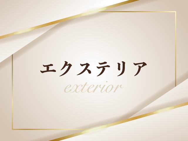 スイフトスポーツ ベースグレード 1オーナー/6速MT/モンスタースポーツマフラー/クルーズコントロール/ETC/横滑り防止装置/純正ナビ/地デジ/HIDオートライト/フォグランプ/純正AW(10枚目)