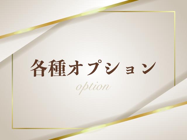 スイフトスポーツ ベースグレード 1オーナー/6速MT/モンスタースポーツマフラー/クルーズコントロール/ETC/横滑り防止装置/純正ナビ/地デジ/HIDオートライト/フォグランプ/純正AW(59枚目)