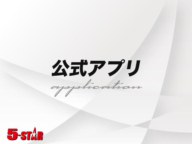 ヴェルファイア 2.4Z ゴールデンアイズ 後期/フリップダウンモニター/クルーズコントロール/両側電動スライドドア/電動リヤゲート/クリアランスソナー/半革シート/ETC/HIDオートライト/純正AW(55枚目)