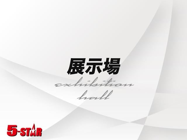 ヴェルファイア ２．４Ｚ　両側電動スライドドア／クリアランスソナー／スマートキー／ＥＴＣ／横滑り防止装置／純正ナビ／Ｂｌｕｅｔｏｏｔｈ／バックカメラ／地デジ／ＨＩＤオートライト／純正ＡＷ（44枚目）