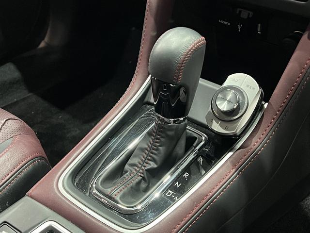 レヴォーグ １．６ＳＴＩスポーツアイサイト　４ＷＤ／アドバンスドセイフティパッケージ／ビルシュタイン足／黒本革電動メモリーシート／シートヒーター／レーダークルコン／レーンアシスト／ＳＲＶＤ／ハイビームアシスト／カロッツェリアナビ／バックカメラ（32枚目）