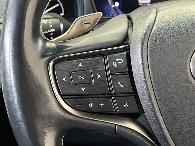 ＬＳ ＬＳ５００　Ｉパッケージ　サンルーフ／黒本革電動メモリーシート／シートベンチレーション／３眼ＬＥＤ／ＨＵＤ／レクサスセーフティシステム＋Ａ／レーダークルコン／アダプティブハイビーム／パノラミックビューモニター／純正ナビ（26枚目）