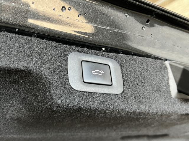 ＬＳ ＬＳ５００　バージョンＬ　１オーナー／サンルーフ／マークレビンソンサウンド／純正ＯＰスパッタリングＡＷ／セミアニリン本革シート／前後席シートベンチレーション／３眼ＬＥＤ／ＬＳＳ＋Ａ／デジタルインナーミラー／パノラミックビュー（47枚目）