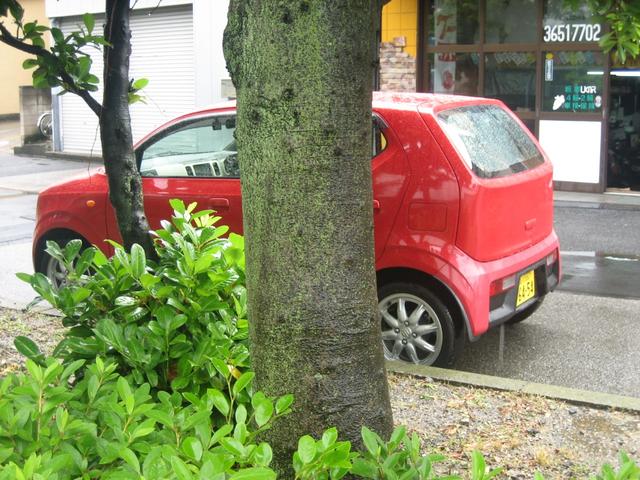 環七電柱地中化工事　もう４年もやってる