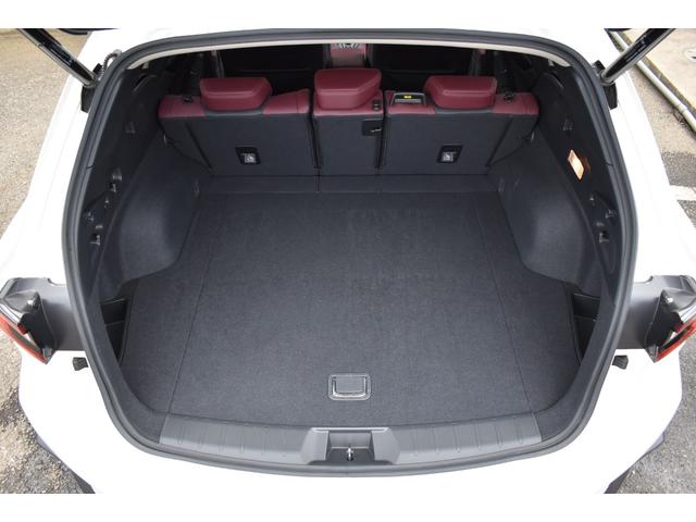 レヴォーグ ＳＴＩスポーツＲ　ＥＸ　衝突被害軽減　スバルリヤビークルディテクション　サンルーフ　クルーズコントロール　ディスプレイオ－ディオ　フルセグ　フロント・サイド・バックカメラ　レ－ンキ－プアシスト　電動リアゲ－ト　ＥＴＣ（55枚目）