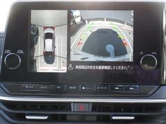 ������鸫�������Ƥ��뤫�Τ褦����֤Ǥ��륢�饦��ɥӥ塼��˥������ָ�����������֤���Ω���ޤ��� 5