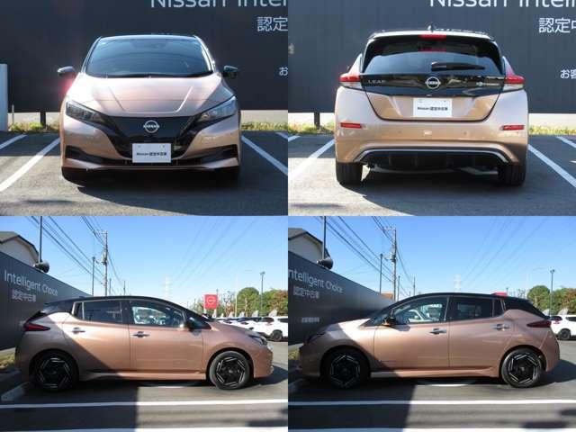 リーフ X メモリーナビ・TV・Bluetooth・アラウンド レーンアシスト LED Bカメラ クルコン メモリーナビ パワーウィンドウ オートエアコン Wエアバッグ AW サイドエアバッグ エアバッグ ワンオーナー ナビTV キーフリー 記録簿 ABS(3枚目)