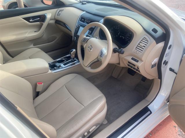 ティアナ XV(13枚目)