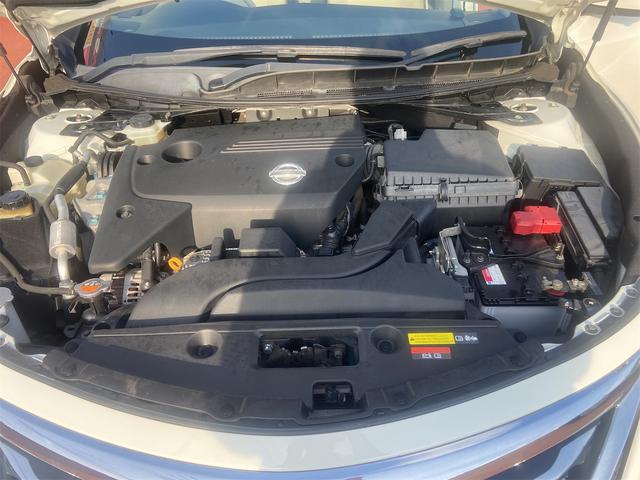 ティアナ XV(17枚目)