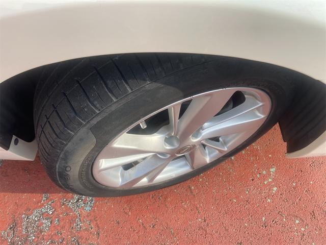 ティアナ XV(23枚目)