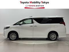 ҤǤϡΥեӥ³Ƥ󶡤Ǥա̡롦פΤͤؤ˸ꤵƤƤޤ 3