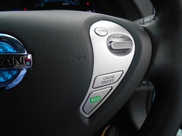 X エアロスタイル(24kwh)(10枚目)