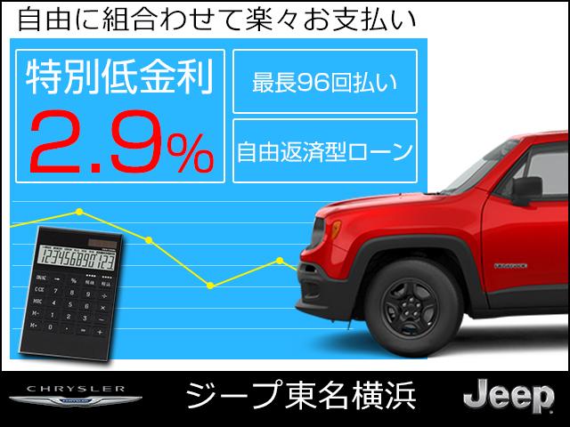 リミテッド 弊社デモカー 純正SDナビ バックカメラ(2枚目)