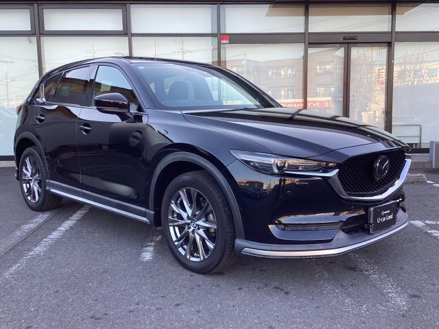 CX-5 2.2 XD エクスクルーシブ モード ディーゼルターボ 4 7インチWVGAセンターディスプレイ 車線逸脱警報システム アドバンストスマートシティブレーキサポート付 1オーナー車 地デジ レーンキープ 盗難防止装置 本革シート Bluetooth対応 キーレス(40枚目)