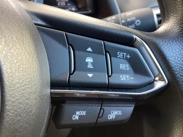 �l�q�b�b�i�}�c�_���[�_�[�N���[�Y�R���g���[���j�͐�s�ԂƂ̎ԊԂ��ێ����Ȃ���Ǐ]���s���s���A�������ł̃h���C�o�[���S���y�������Ă���܂��B