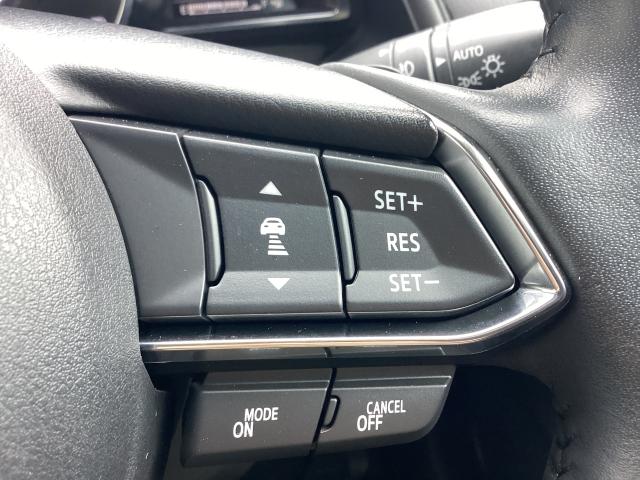 CX-3 1.5 15S スーパー エッジー マツダコネクトナビゲーション 全周囲カメラ 前後障害物センサー 電動シート シートヒーター BOSE TV・CD・DVD(23枚目)