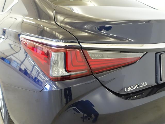 ＥＳ ＥＳ３００ｈ　バージョンＬ　シートヒーター　シートエアコン　パワーシート　フロアマット　コネクテッド機能　ナビ　ＣＤ　ミュージックサーバー　音楽プレーヤー接続　Ｂｌｕｅｔｏｏｔｈ接続　ＴＶ　ＤＶＤ再生　ＥＴＣ（30枚目）