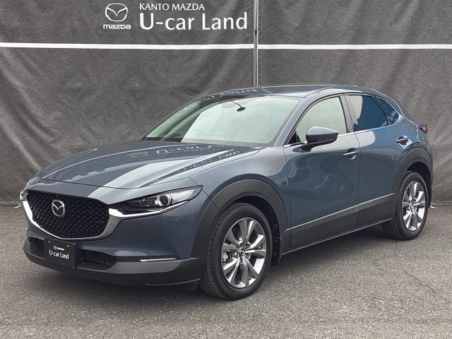 CX-30 2.0 20S プロアクティブ ツーリングセレクション 4W 電動シート マツダコネクトナビ ETC クルージングトラフィックサポート 4WD 2カメラドライブレコーダー レーダークルーズC 車線逸脱防止 ナビTV DVDプレーヤー ドライブレコーダー 4WD(35枚目)