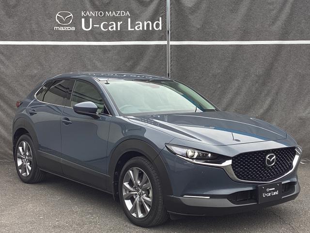 CX-30 2.0 20S プロアクティブ ツーリングセレクション 4W 電動シート マツダコネクトナビ ETC クルージングトラフィックサポート 4WD 2カメラドライブレコーダー レーダークルーズC 車線逸脱防止 ナビTV DVDプレーヤー ドライブレコーダー 4WD(40枚目)