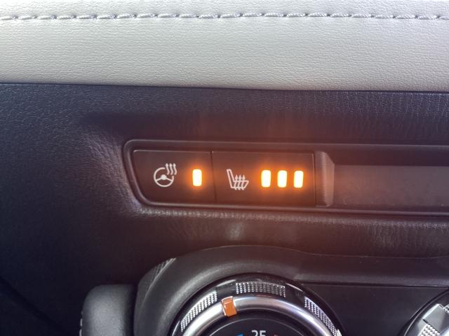 ＣＸ－３ １．５　１５Ｓ　スーパー　エッジー　ＥＴＣ　３６０°ビューモニター　前後ドライブレコーダー　電動シート　シートヒーター　ステアリングヒーター　レーダークルコン　ＤＶＤ再生　ＬＥＤヘッドランプ　ドラレコ　ワンオーナー　アイドリングストップ（20枚目）