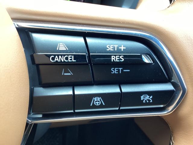 ＣＸ－６０ ３．３　ＸＤハイブリッド　プレミアム　スポーツ　ディーゼルタ　パノラマサンルーフ　３６０°ビューカメラ　パワーリフトゲート　ＢＯＳＥスピーカー　マツダコネクトナビ　ＥＴＣ　シートベンチレーション　ダブルサンルーフ　シートヒー　パワーゲート　レーダークルコン（23枚目）