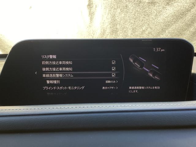 CX-30 2.0 20S プロアクティブ マツダコネクトナビ ETC バックモニター コネクティッドサービス パワーリフトゲート CD/DVDプレーヤー レーンアシスト USB接続 スマキー キーレスエントリー ドライブレコーダー 1オーナー(15枚目)