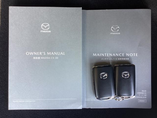CX-30 2.0 20S プロアクティブ マツダコネクトナビ ETC バックモニター コネクティッドサービス パワーリフトゲート CD/DVDプレーヤー レーンアシスト USB接続 スマキー キーレスエントリー ドライブレコーダー 1オーナー(29枚目)