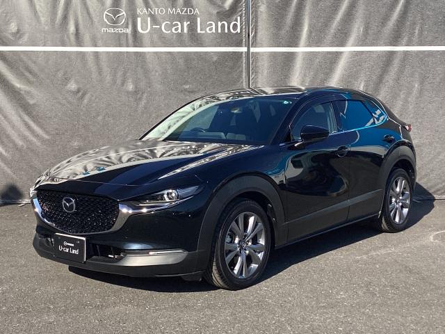 CX-30 2.0 20S プロアクティブ マツダコネクトナビ ETC バックモニター コネクティッドサービス パワーリフトゲート CD/DVDプレーヤー レーンアシスト USB接続 スマキー キーレスエントリー ドライブレコーダー 1オーナー(35枚目)