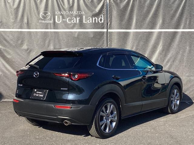 CX-30 2.0 20S プロアクティブ マツダコネクトナビ ETC バックモニター コネクティッドサービス パワーリフトゲート CD/DVDプレーヤー レーンアシスト USB接続 スマキー キーレスエントリー ドライブレコーダー 1オーナー(38枚目)