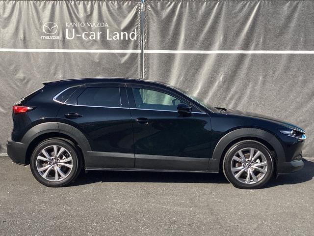 CX-30 2.0 20S プロアクティブ マツダコネクトナビ ETC バックモニター コネクティッドサービス パワーリフトゲート CD/DVDプレーヤー レーンアシスト USB接続 スマキー キーレスエントリー ドライブレコーダー 1オーナー(39枚目)