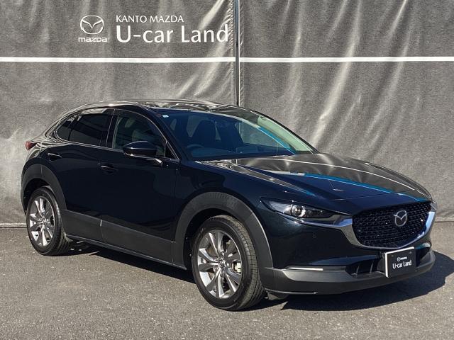 CX-30 2.0 20S プロアクティブ マツダコネクトナビ ETC バックモニター コネクティッドサービス パワーリフトゲート CD/DVDプレーヤー レーンアシスト USB接続 スマキー キーレスエントリー ドライブレコーダー 1オーナー(40枚目)