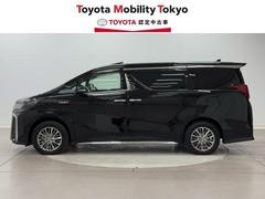 ҤǤϡΥեӥ³Ƥ󶡤Ǥա̡롦פΤͤؤ˸ꤵƤƤޤ 3