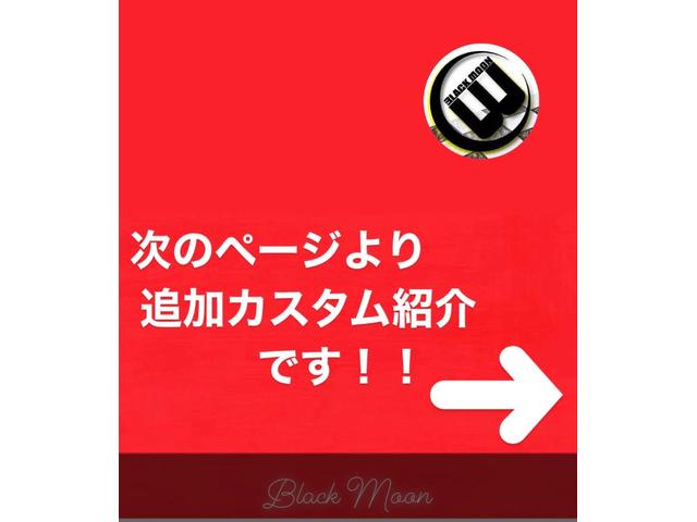 プロボックスバン ＤＸコンフォートパッケージ　オリジナル丸目換装　新品ホイール　新品タイヤ　新品リフトアップ　新品ルーフキャリア・ラック　新品シートカバー　新品ウッドステアリング　ナビ　電動格納ミラー　キーレスエントリー（29枚目）