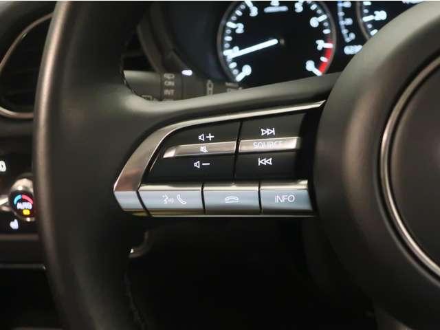 CX-30 2.0 20S 横滑り防止装置 キーレス メモリーナビ アダプティブクルーズコントロール LED スマートキー バックカメラ ETC オートエアコン 地デジ 衝突軽減(17枚目)