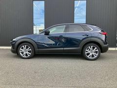 ޥĥȼΡغưǥ٤ˤ뿭Ӥ䤫ʥ륨åȤħΥɥӥ塼Ǥ 3