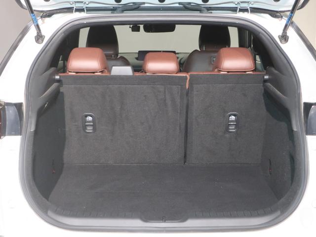 MX-30 2.0 レーダーブレーキ スマキー 盗難防止装置 ACC ナビTV PWシート DSC ABS Bカメラ キーフリー エアコン 整備記録簿 パワーウィンドウ i-stop LEDヘッドライト 禁煙車 USB(4枚目)