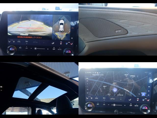 ���������[�J�[�I�v�V�����@�}�[�N���r���\���I�[�f�B�I�����ς݁I�@�������[�J�[�I�v�V�����@�p�m���}���[�t�����ς݁I�@�p�m���~�b�N�r���[���j�^�[�I