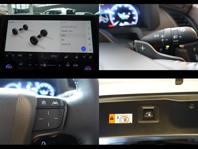 アルファードハイブリッド エグゼクティブラウンジ　リアシートエンターテイメント＆ＪＢＬサウンド　トヨタチームメイト　ベージュ革　ＯＰＤＶＤデッキ　ＯＰユニバーサルステップ　ＯＰ寒冷地仕様＆バックフォグランプ　ＯＰ１９ＡＷ　ＯＰガーニッシュ（18枚目）