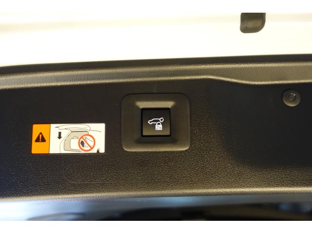 アルファードハイブリッド エグゼクティブラウンジ　リアシートエンターテイメント＆ＪＢＬサウンド　トヨタチームメイト　ベージュ革　ＯＰＤＶＤデッキ　ＯＰユニバーサルステップ　ＯＰ寒冷地仕様＆バックフォグランプ　ＯＰ１９ＡＷ　ＯＰガーニッシュ（76枚目）